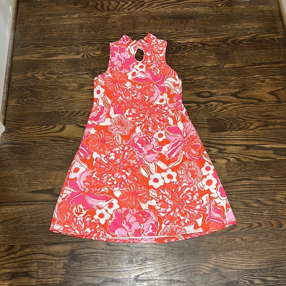 Lily Pulitzer Beautiful Floral Dress - Picture 5 of 10